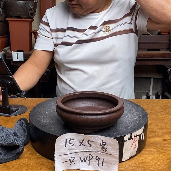 紫砂货号一只WP91