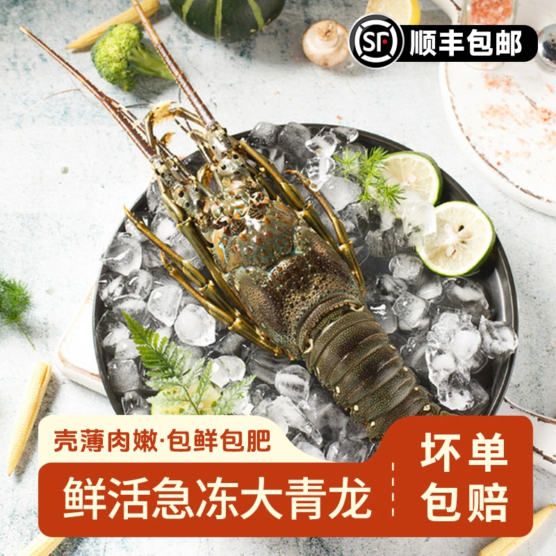 活冻大青龙 550-600g   鲜活急冻   顺丰包邮  龙虾 青龙