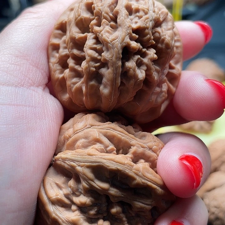 李**i全品无修44/44/40