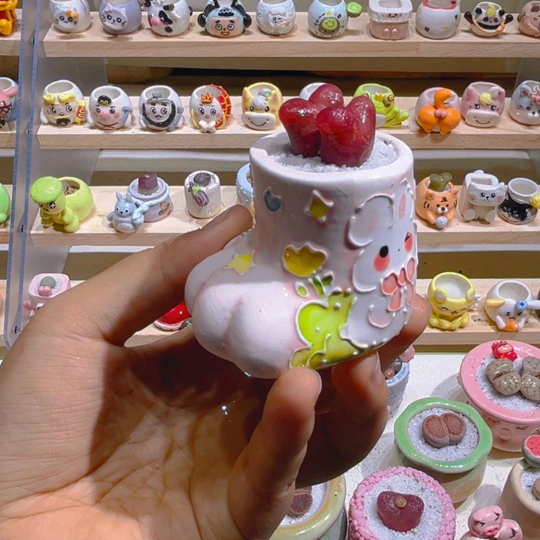 032高端多肉带盆土一套48.8