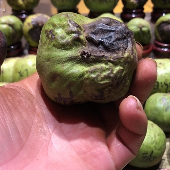 吊坠桃核核桃核桃