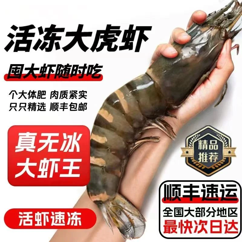 巨型8-12规格黑虎虾 一斤4-6只 净重不包冰