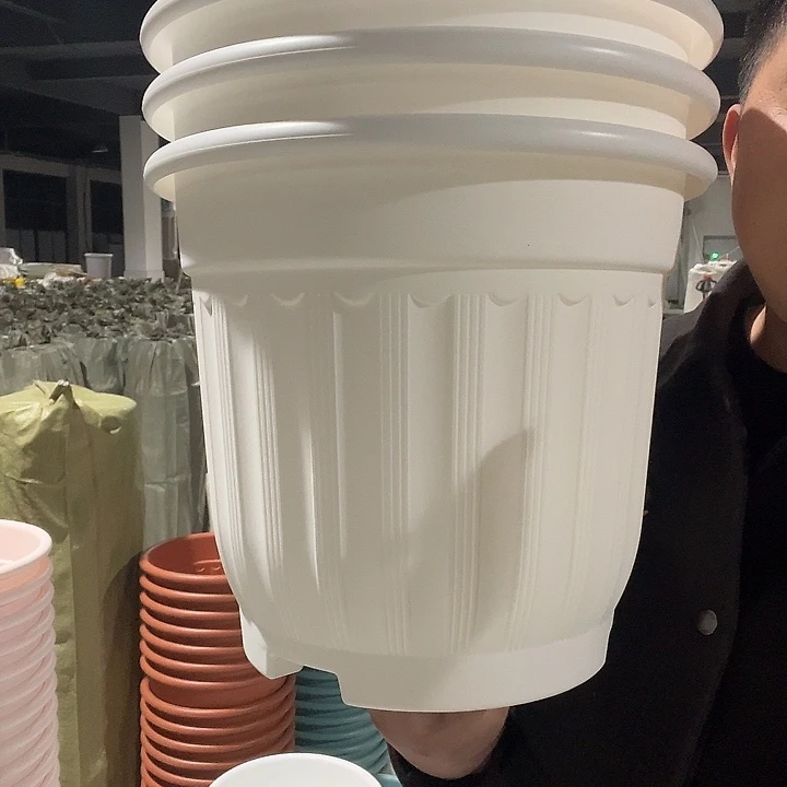 罗马320白3个无托盘
