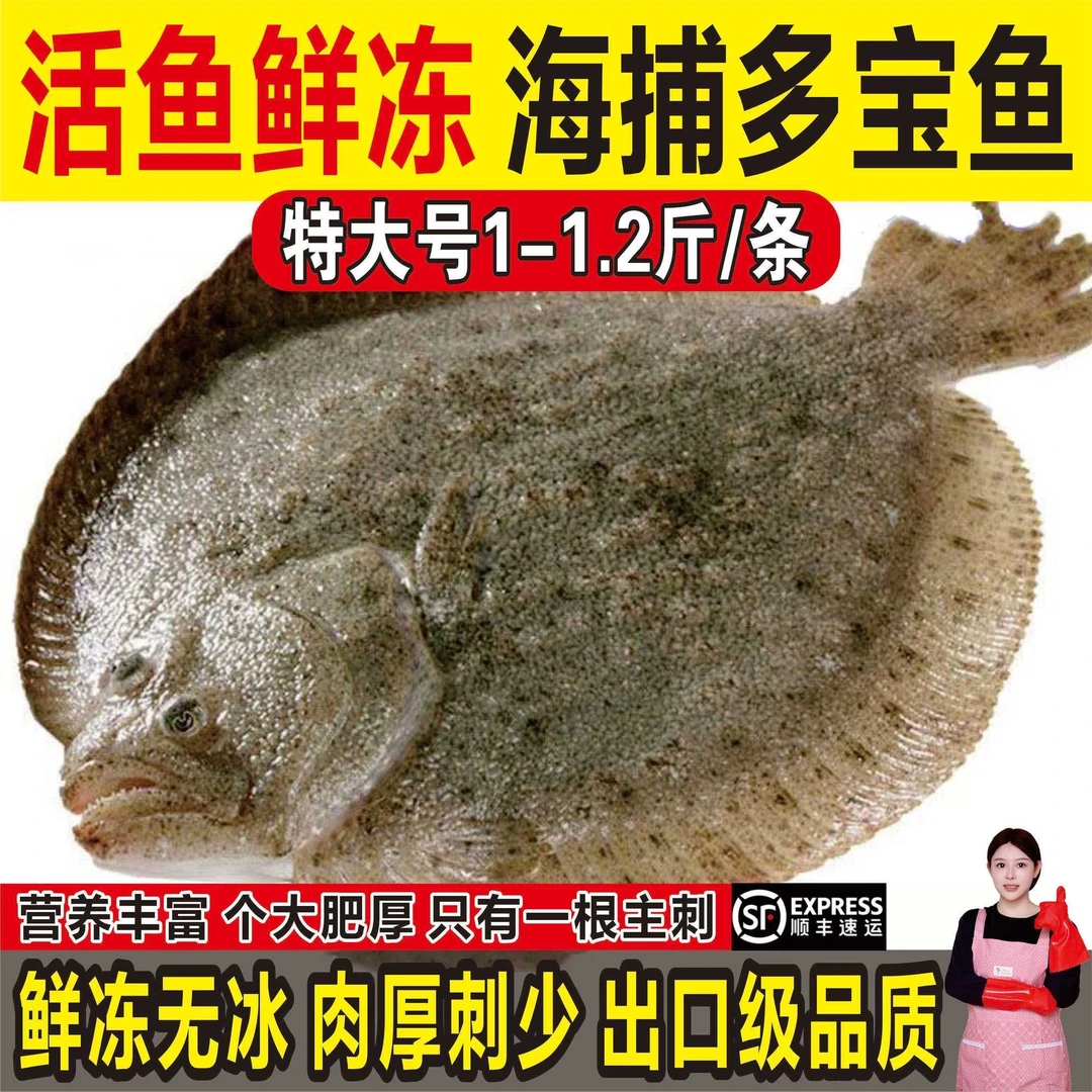 免处理【三去多宝鱼】新鲜比目鱼大菱鲆海鱼鲜活冷冻海鲜水产