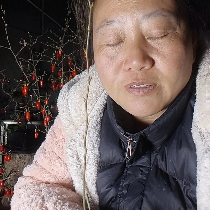 思***无花朵155555888877