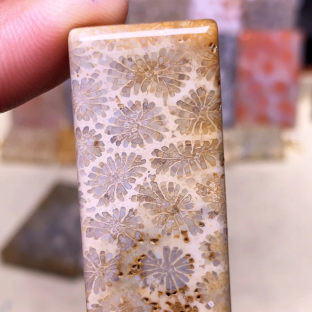 硅化玉珠宝奇石合金散***奇