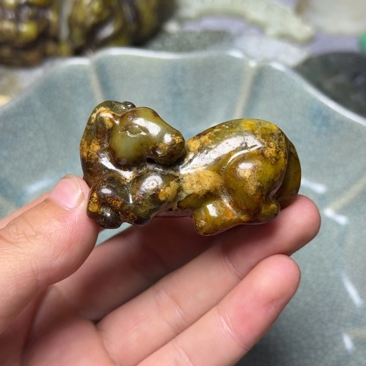 往***风直播放漏专属链接