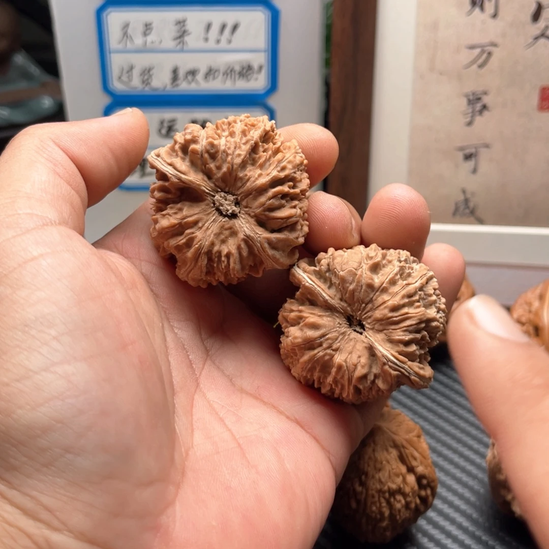 与***婉大叶紫檀（黑酸枝木类）43尺137