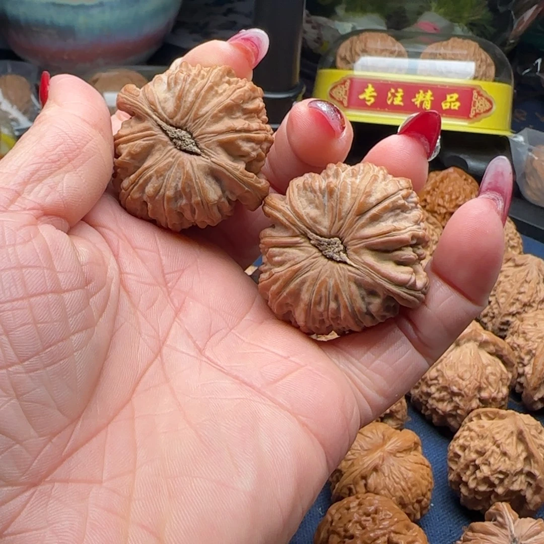 核桃孙*空卡姿兰狮子头闷白