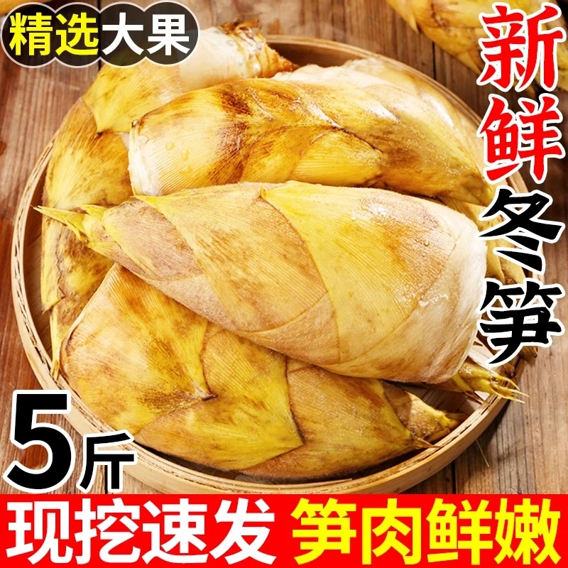 新鲜冬笋现挖现挖竹笋当季5斤装包邮农家黄泥笋毛竹笋正宗
