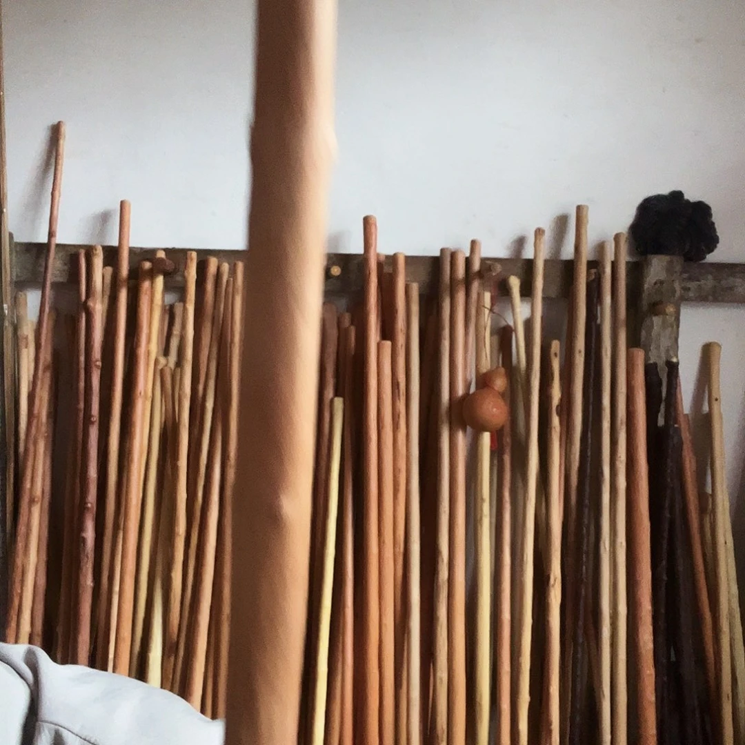 两***！秦岭山脉红牛筋。