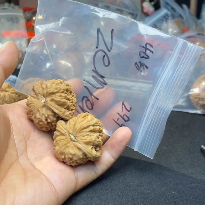 z***n把件文玩核桃白狮子