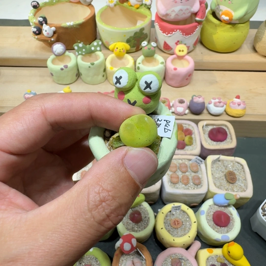 可***喝蘑菇288蟠桃蟠桃