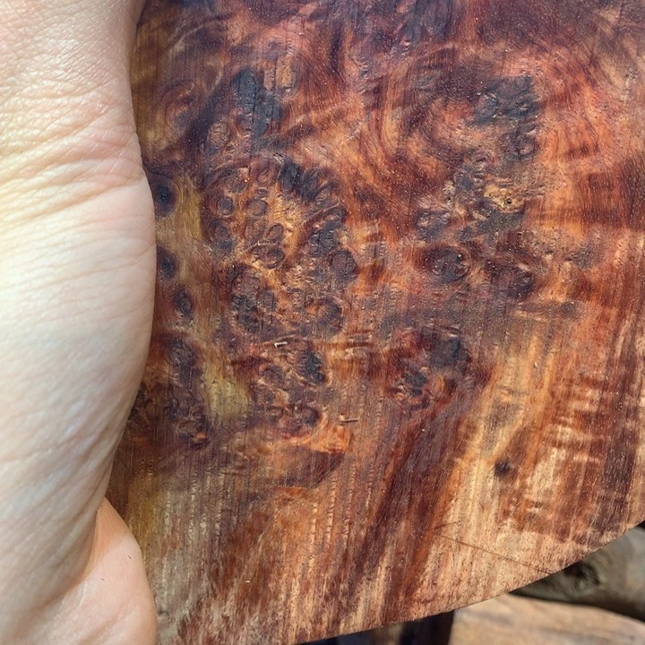 黄花梨/降香黄檀任*遥