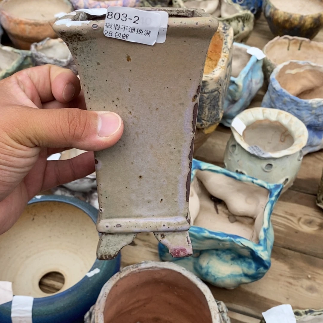 2号花盆内7.5高16