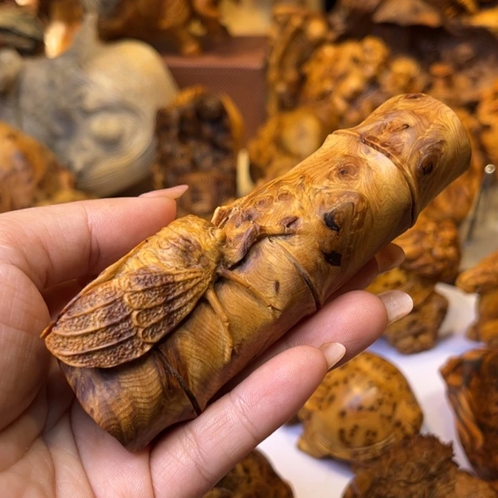 香榧木太行崖柏瘤疤