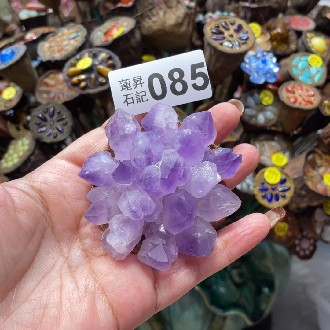 核桃木/黑胡桃（胡桃木）悠****o085