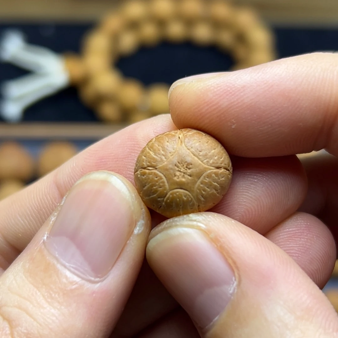 手串凤眼菩提15.8五星上将