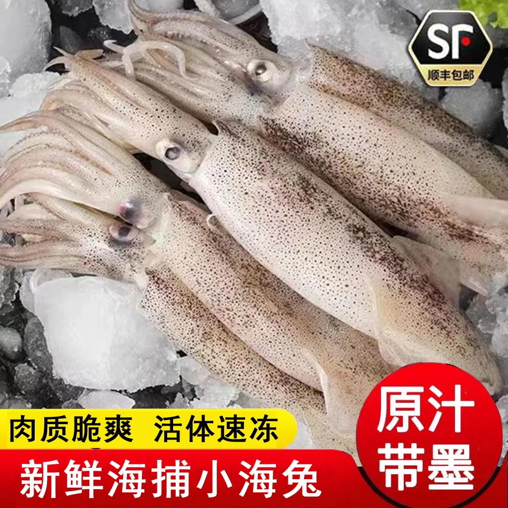 野生海钓小海兔笔管鱿鱼灯管鱿鱼顺丰冷链买3斤送1斤