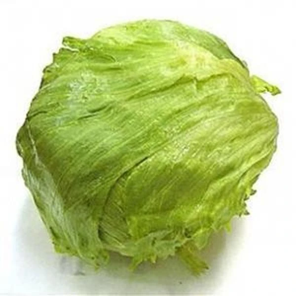 新鲜圆生菜一个约500g以上