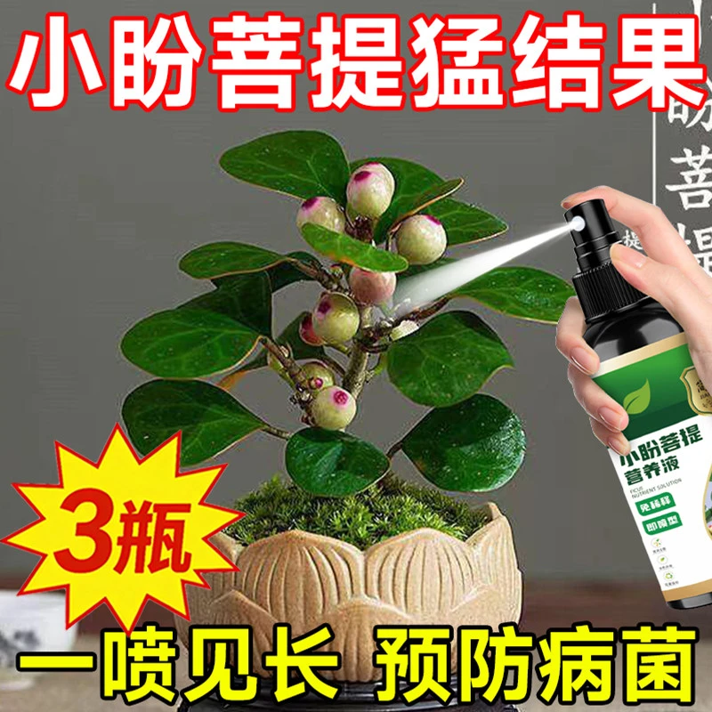 小盼菩提营养液防黄叶落果枯萎生长开花结果绿叶专用免稀释肥料商品图