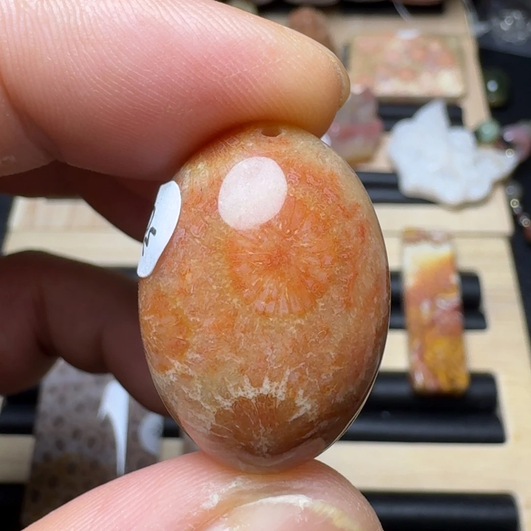 未镶嵌纯天然色有机玉石保真色硅化玉