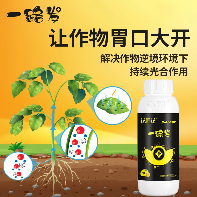 花肥花一路发番茄生根肥生根剂叶面肥生根菌肥氨基酸叶面水溶肥