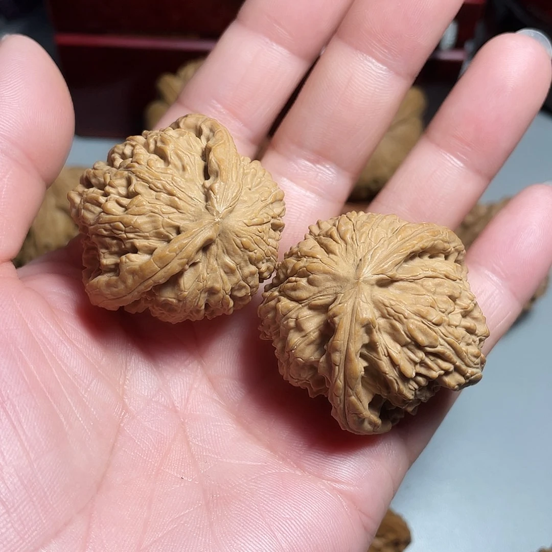 核桃手串/手链阿*精品白狮子飞蛇