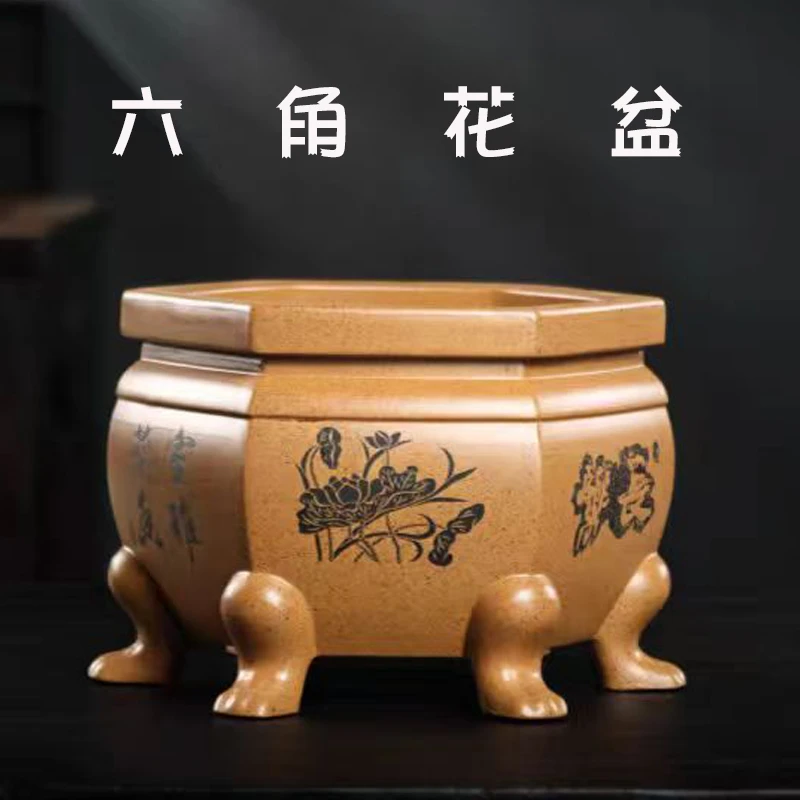 宜兴紫砂花盆盆景文竹金弹子老桩精品兰花君子兰莲花方形盆专用器