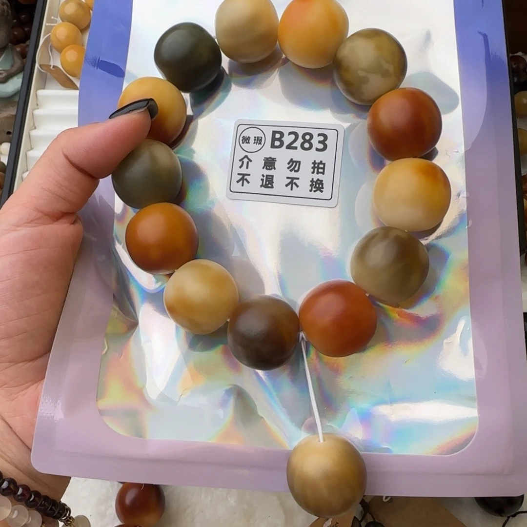 菩提根/象牙果手串龙*B283