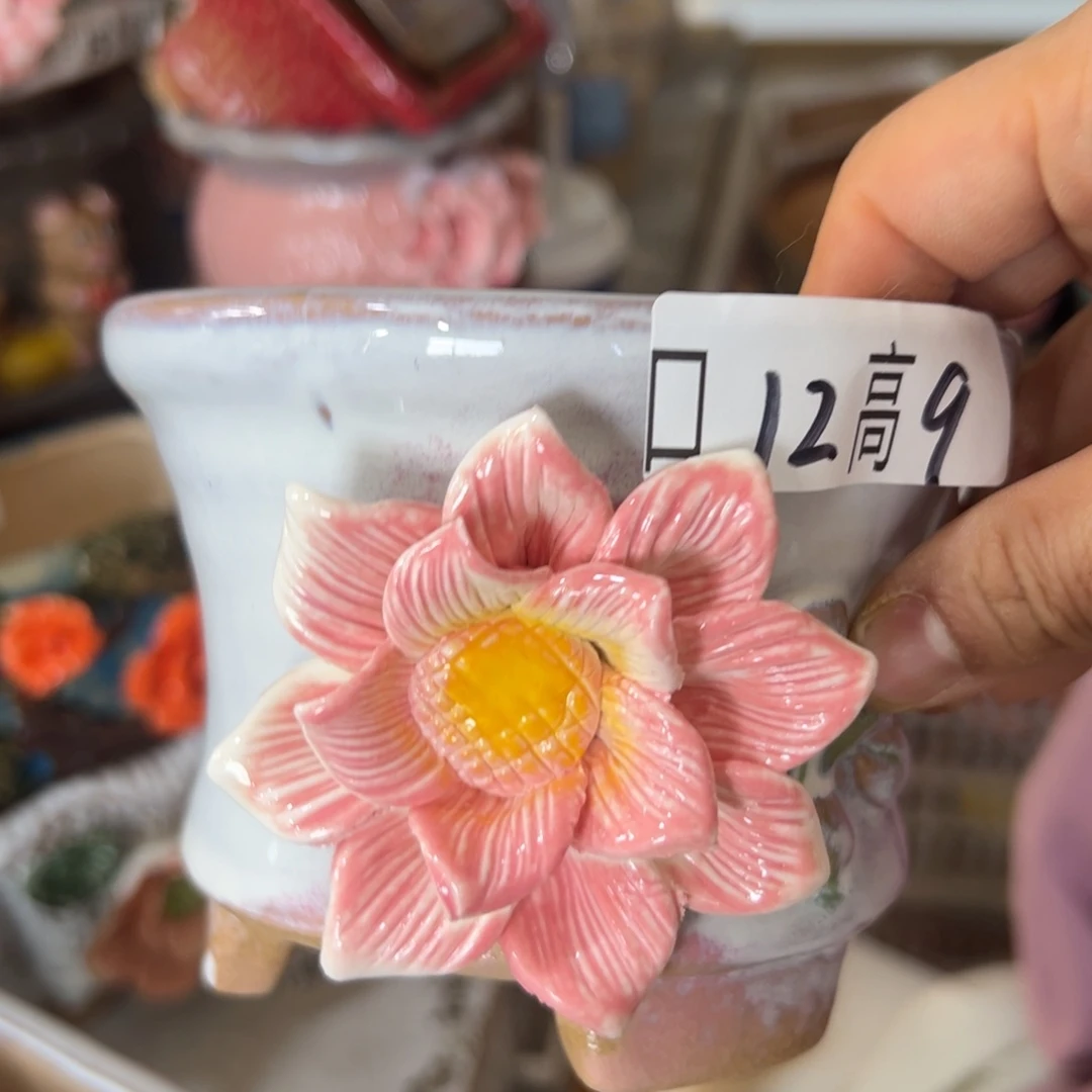 花盆，拍满20发货，退款拉黑