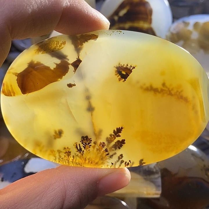 未镶嵌颈饰玛瑙/玉髓