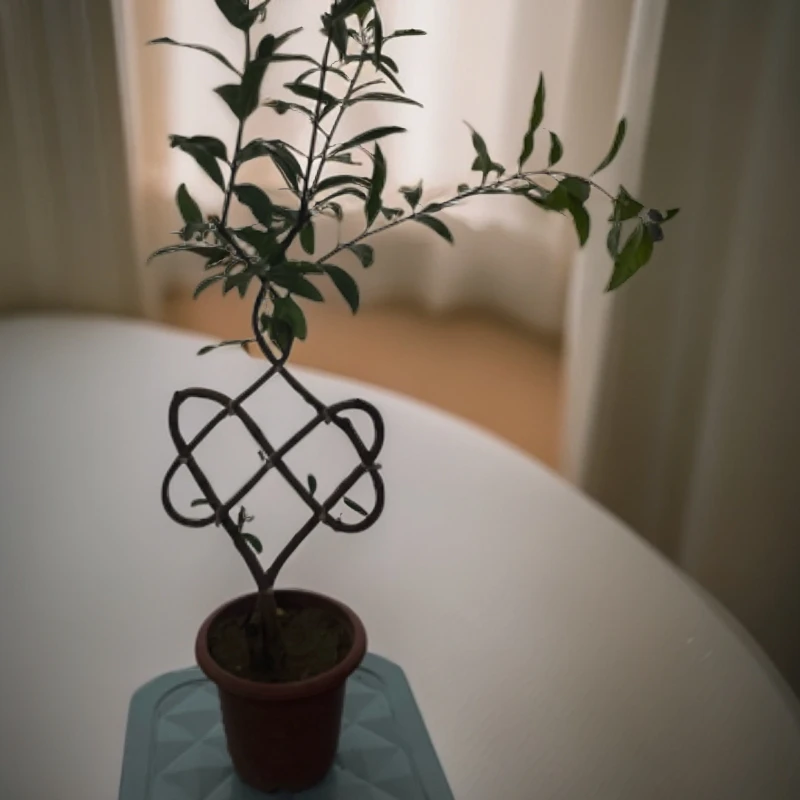 手工编织工艺中国结爱心石榴盆栽盆景