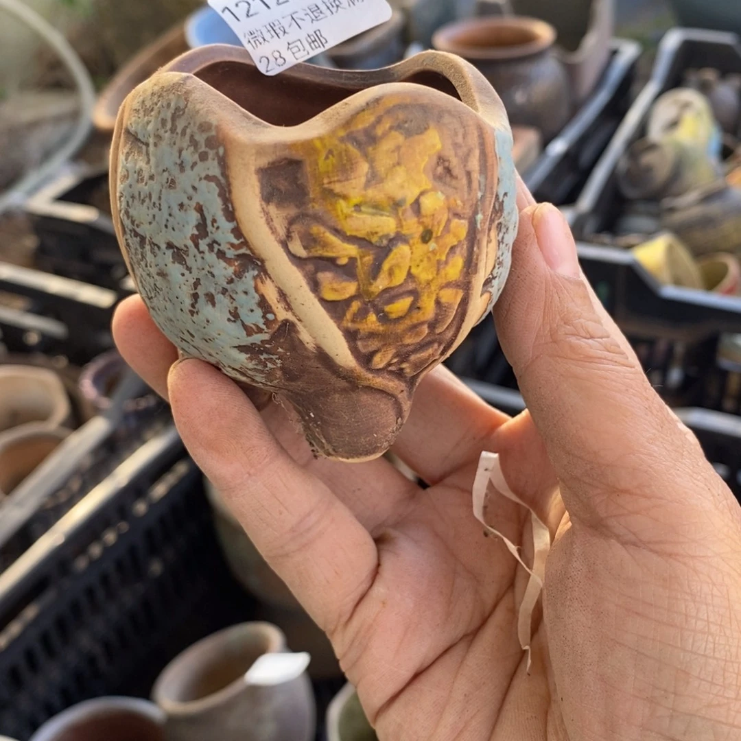 279号多肉盆口径4