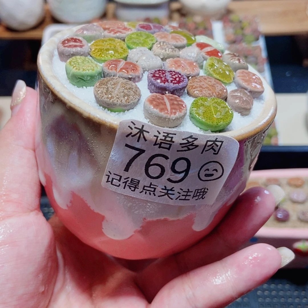 物一物一拍 所见即所得 769