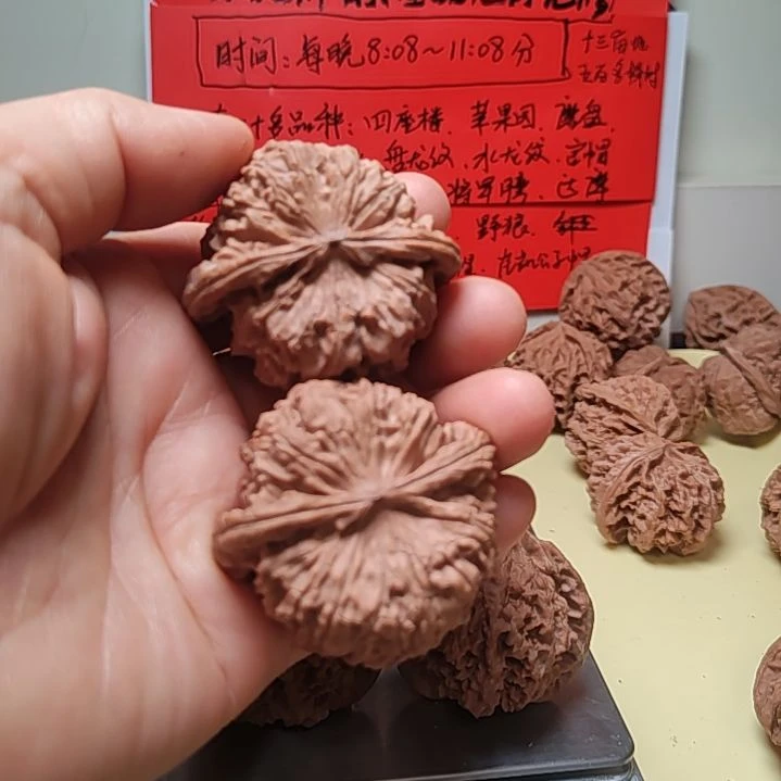 文玩核桃把件放福利，46～47d矮桩白狮子