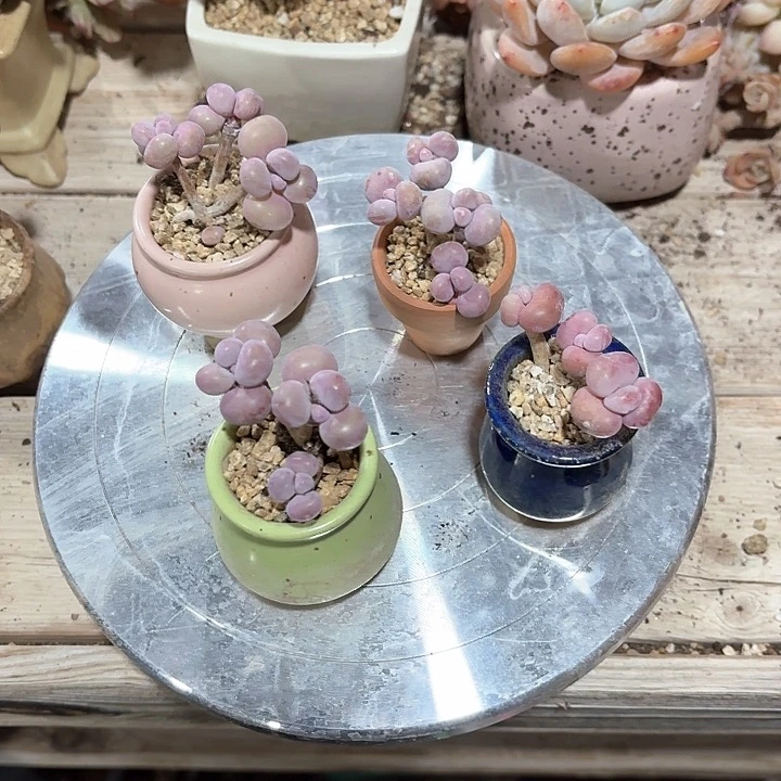 ?**. b x xv v g092