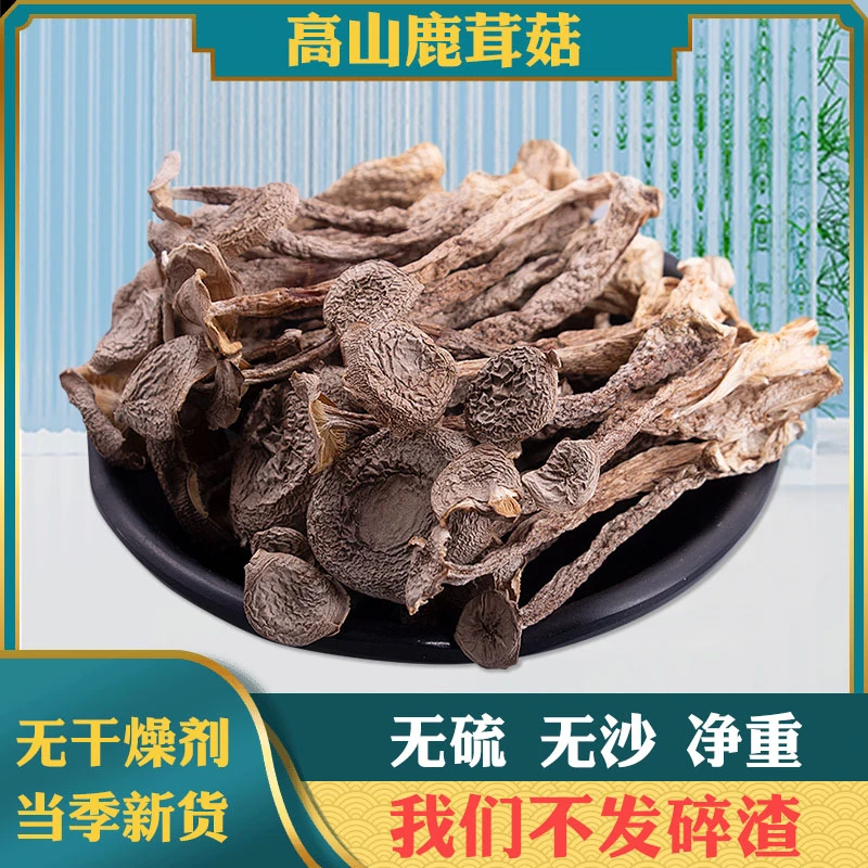 【高山鹿茸菇】无硫无沙干货菌菇鲜美肥厚炒菜炖煲鸡汤炒肉营养美味