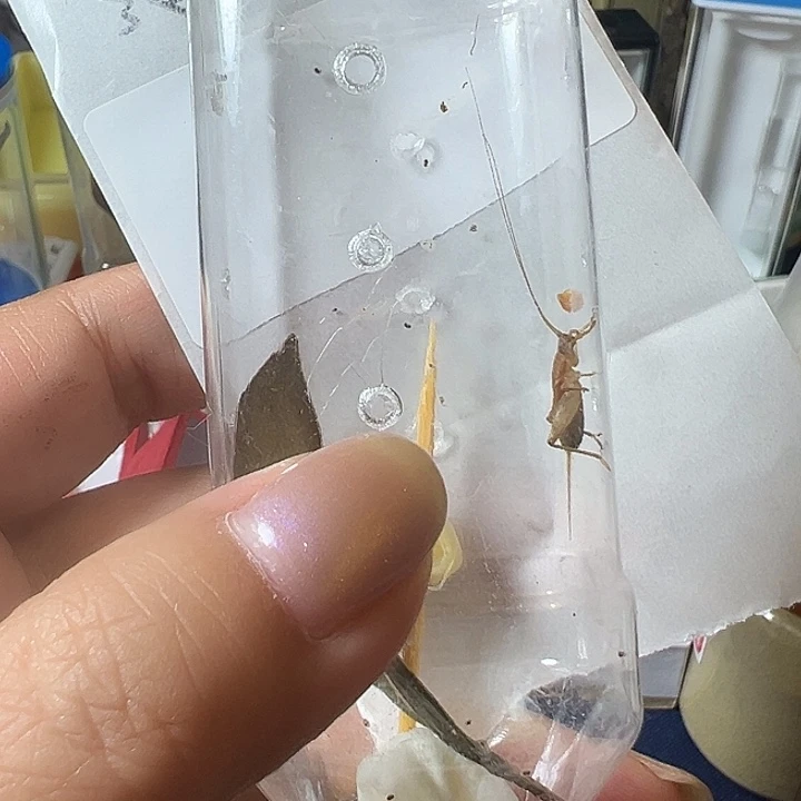 宝***尔哈哈哈哈哈哈哈哈哈