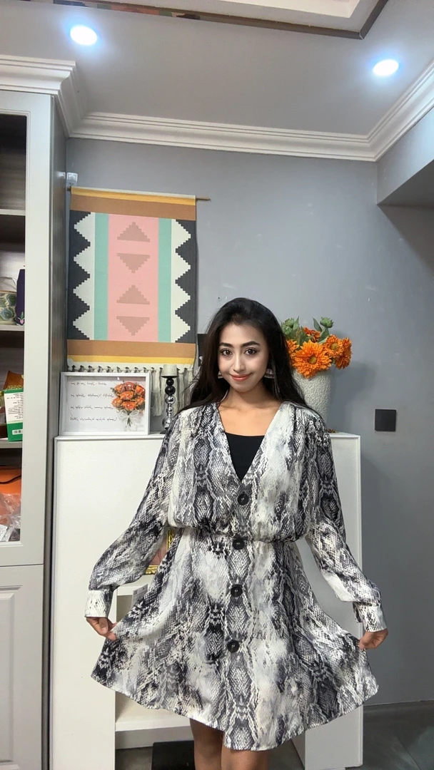 秋季款新款豹纹连衣裙