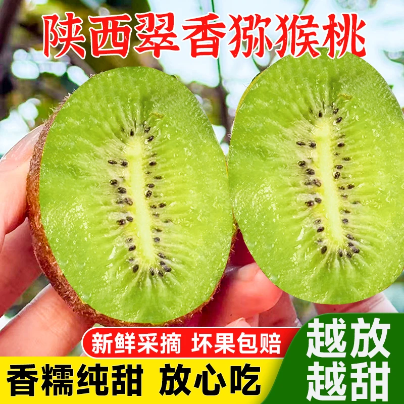 陕西周至翠香猕猴桃精品大果新鲜当季水果香甜多汁营养丰富