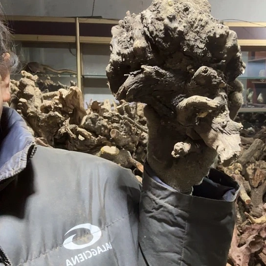 香榧木用****3火琉璃的毛料摆件