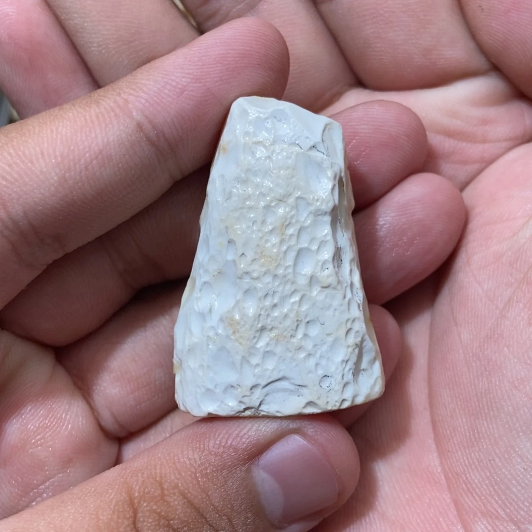 定制琥珀未镶嵌虎****熊琥珀蜜蜡原石定制