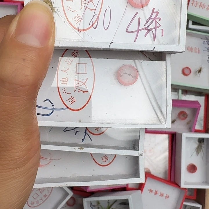 刘***辉蟋蟀蝈蝈我在外面吃饭111111