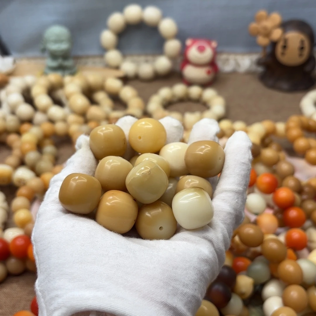 吊坠菩提根/象牙果21干磨大瑕疵落地果桶散珠20颗一锅