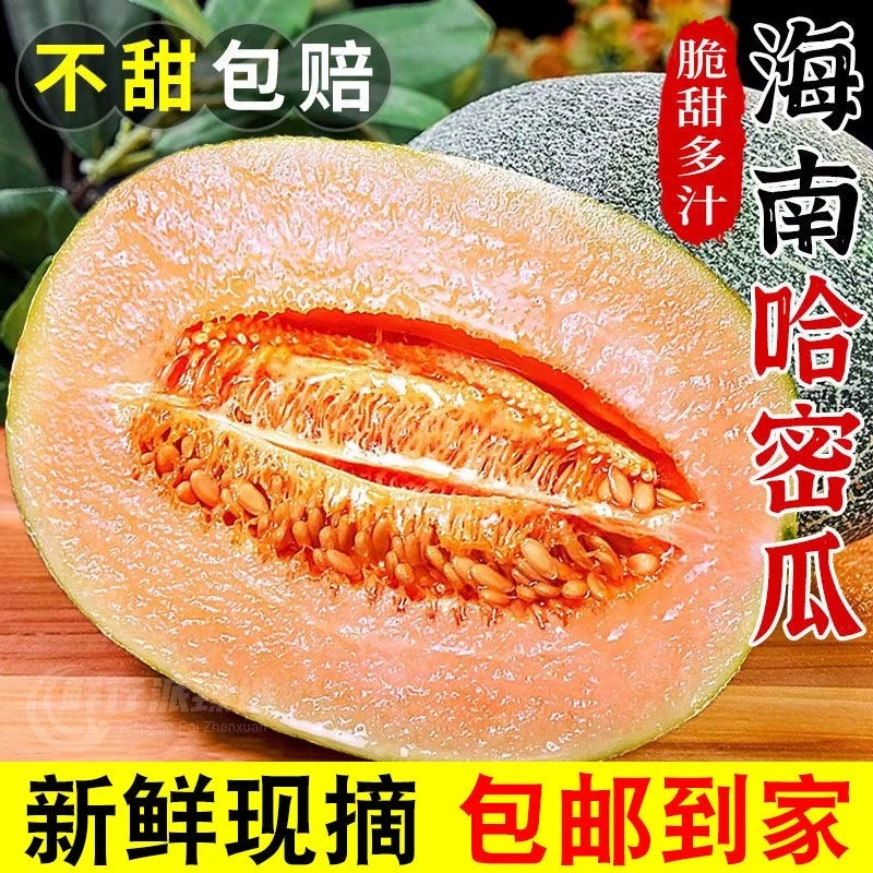 海南哈密瓜产地直发新鲜爆甜整箱应季水果