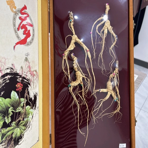 林下参微残泡酒精品