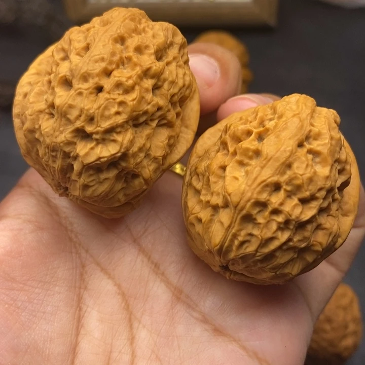 把件文玩核桃42尺金蟾王