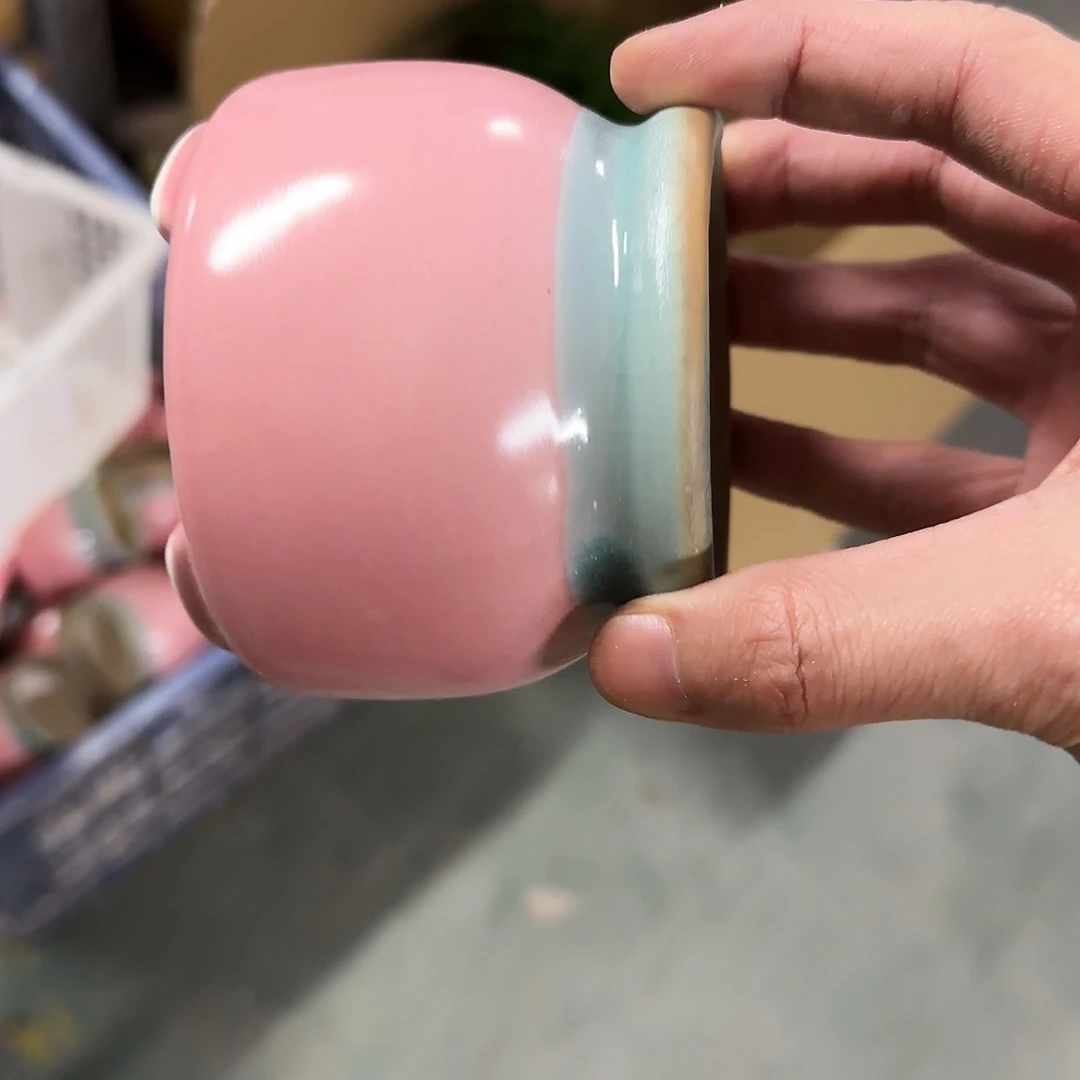 福利局绿植多肉盆［凑9元包邮24小时发］