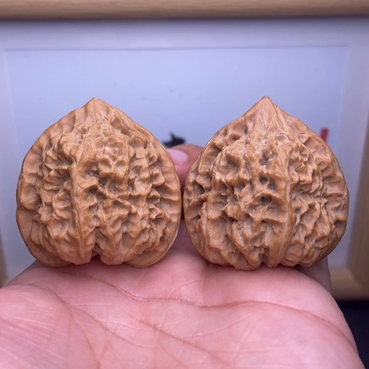 核桃全品野生野牛